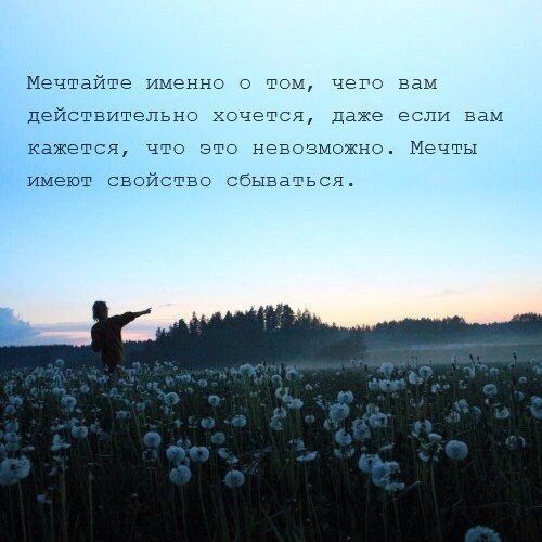  |   - 8  2017  03:27