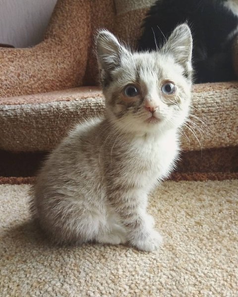 #_.       ,        ... - 4