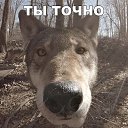 ���� ���������, ����, 43 ���� - ��������� 12 ������� 2018 � ������ ������ ��������