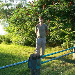 Igor, �������, 66 ���