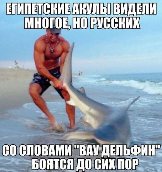   - 4  2018  17:44