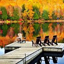  Alehandro,  -  20  2017    