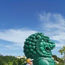 ���� Siroga, �����-���������, 53 ���� - ��������� 8 ������� 2017 � ������ ������ ��������
