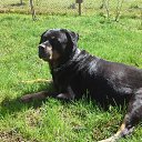 ���� ��������, ������ ��������, 49 ��� - ��������� 4 ������� 2017 � ������ �������