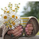 ���� �t, ������ - ��������� 12 ������ 2018 � ������ ���� ����������