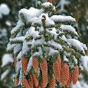 ���� �������, ���������, 67 ��� - ��������� 24 ������ 2017 � ������ ���� ����������