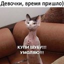 ���� ������, ������ - ��������� 17 ������ 2018 � ������ ������ ��������