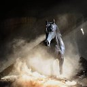 ���� �����, �����-��������� - ��������� 19 ������� 2017 � ������ ������ ��������