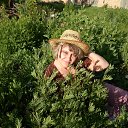 ���� �����, ��������, 57 ��� - ��������� 1 ���� 2018 � ������ ���� ����������