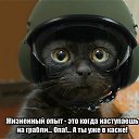 ���� �������, ���������, 64 ���� - ��������� 2 ����� 2018 � ������ ������ ��������