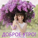 ���� �����, ������������, 49 ��� - ��������� 3 ��� 2018