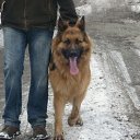  Pawel, , 57  -  25  2018    