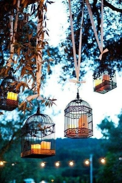Птичьи клетки в декоре интерьера.#идеи_для_дачи - 6