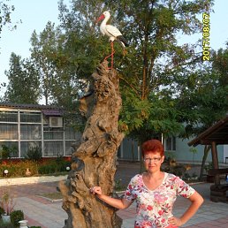 ���� Svetlana, ������� - ��������� 24 ������ 2018
