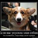 ���� �������, ���������, 68 ��� - ��������� 19 ������ 2018 � ������ ���� ����������