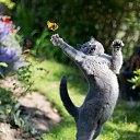 ���� �����, ��������� - ��������� 12 ������� 2017 � ������ ������ ��������