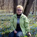 ���� �����, ����������, 66 ��� - ��������� 16 ������� 2017