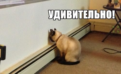 ���� �� ������� �����������, ��� ���� ���������� �� �������� ��������������, �� ��� ����� �������� ... - 2