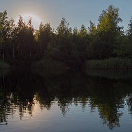 ���� Sergey, ������, 40 ��� - ��������� 22 ����� 2018
