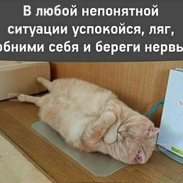�����, ����, 50 ���