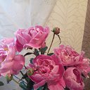���� Fatinyia, ����� - ��������� 6 ���� 2018 � ������ ������ �������