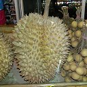 ���� �������, ������������, 61 ��� - ��������� 29 ����� 2018 � ������ ���� 2018�