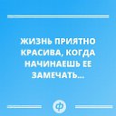  , , 55  -  25  2017    