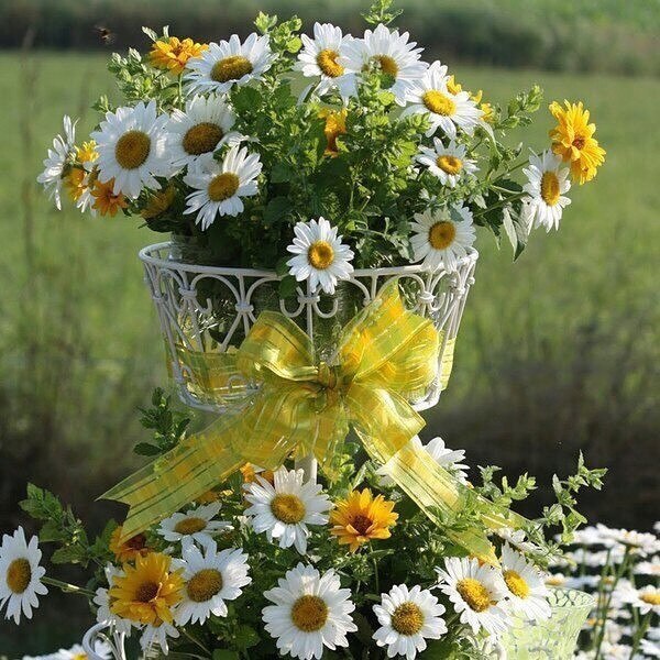 , ,  ,   -   ,    ,  ...