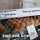 ���� �������, ���������, 38 ��� - ��������� 10 ������ 2018 � ������ ���� ����������