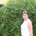 ���� �������, ������, 44 ���� - ��������� 15 ������ 2018 � ������ ���� ����������