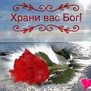 ���� �������, �����, 61 ��� - ��������� 2 ������ 2018 � ������ ������