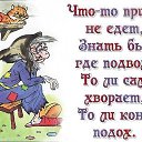 ���� ����, ������, 61 ��� - ��������� 10 ��� 2018 � ������ ������ ��������