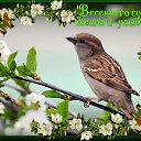 ���� ������, �������, 77 ��� - ��������� 25 ����� 2018