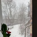 ���� ���, �����, 60 ��� - ��������� 22 ������ 2018 � ������ ������ ��������