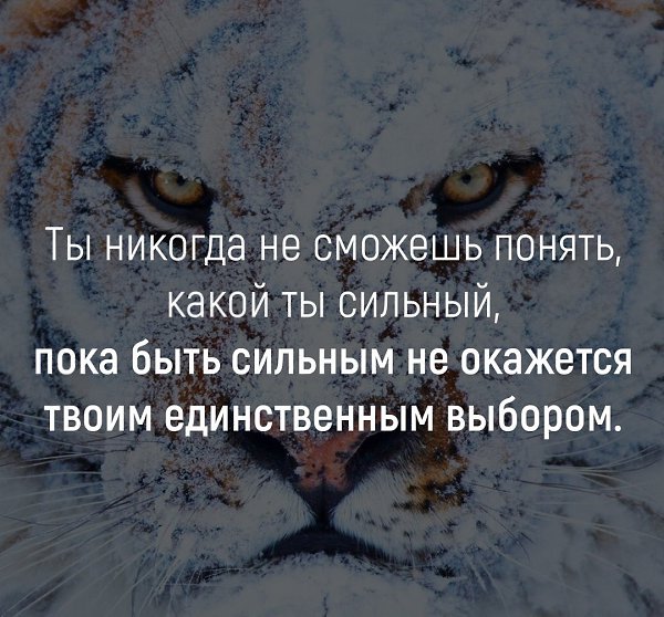    - 18  2018  03:47