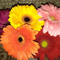 ����, ����� ������, 55 ���