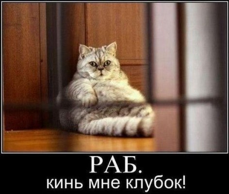 � ����� �����! - 14 ������ 2018 � 11:49