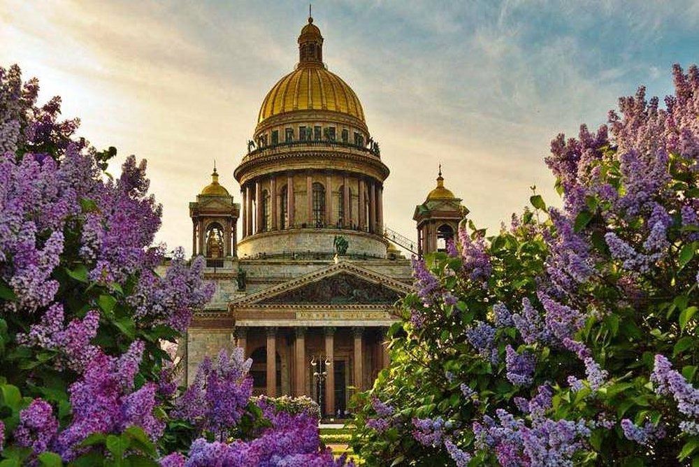 Весна в петербурге картинки