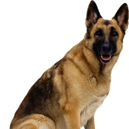 �������, ������, 57 ���