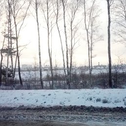 ����, ������