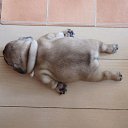 ���� Crazy, �����-���������, 45 ��� - ��������� 9 ������ 2018 � ������ ������ ��������