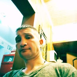 �������, �����-���������, 41 ���