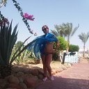 ���� ���, ������� - ��������� 15 ���� 2018 � ������ ���������� ������
