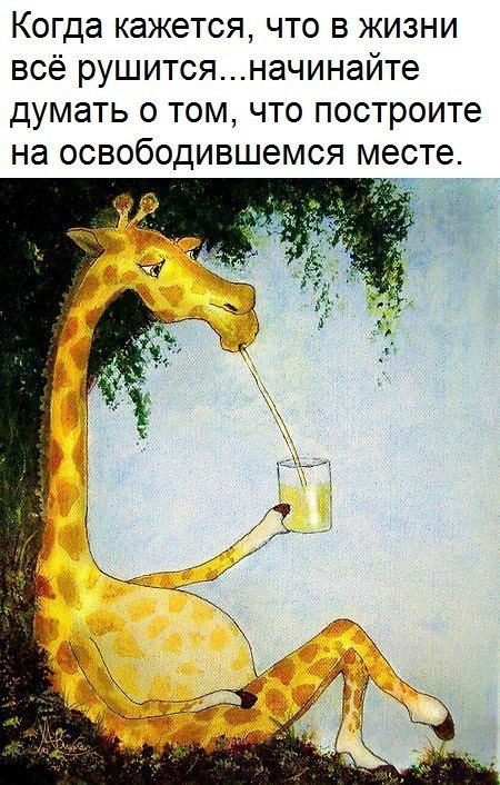   - 13  2017  03:49