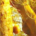 ���� ��������, �����������, 49 ��� - ��������� 19 ������ 2018