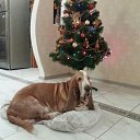 ���� �������, ������ - ��������� 1 ������ 2018 � ������ ������ ��������