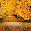 ���� Alserg, ����� - ��������� 8 ������� 2017 � ������ ������ ��������