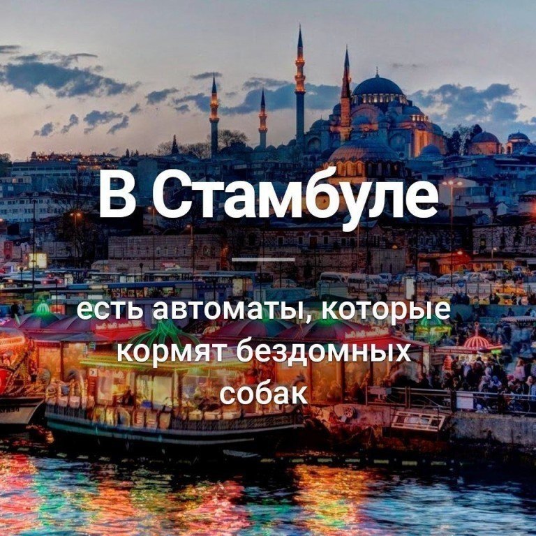   :    - 25  2018  03:00