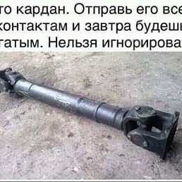 ���� ������, ���, 54 ���� - ��������� 14 ������ 2018