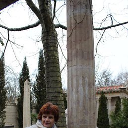 �������, �����, 66 ���